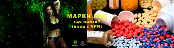 ешки Арсеньев