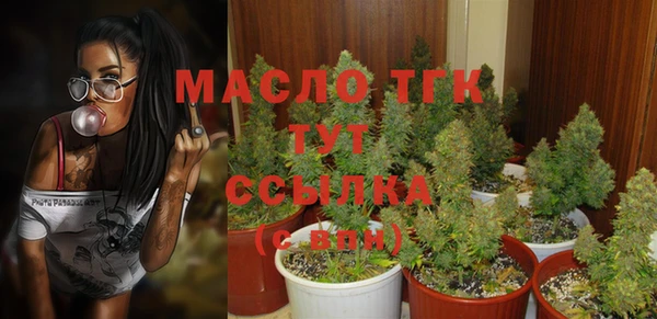 ешки Арсеньев