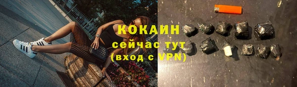 ешки Арсеньев